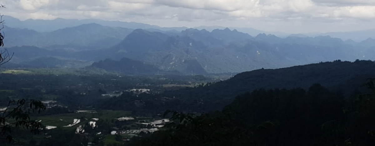 Kopi Arabika Puncak Pato